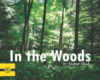 IN THE WOODS