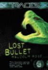 LOST BULLET #2 (TRACES)