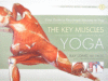 KEY MUSCLES OF YOGA : YOUR GUIDE TO FUNC