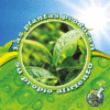 LAS PLANTAS PRODUCEN SU PROPIO ALIMENTO