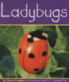 LADYBUGS
