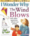 I WONDER WHY THE WIND BLOWS