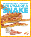 Life Cycle of a Snake ( Incredible Animal Life Cyc