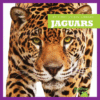JAGUARS