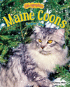 MAINE COONS: SUPER BIG ( Cat-Ographies )