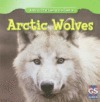 Arctic Wolves ( Animals That Live in the Tundra )