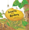 INSECTS & SPIDERS: INSECTS AND SPIDERS