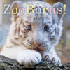 ZOOBORNS: Zoo Babies from Around the World(HC)