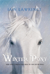 Winter Pony