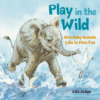 Play in the Wild: How Baby Animals Like to Have Fu