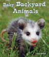 Baby Backyard Animals ( All about Baby Animals )