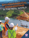 Environmental Engineering in the Real World (LB)