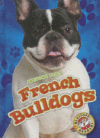 FRENCH BULLDOGS ( Awesome Dogs )