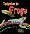 Tadpoles to Frogs ( It's Fun to Learn about Baby A