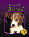 Little Dogs ( Born to Be Wild )