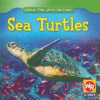 Sea Turtles ( Animals That Live in the Ocean )