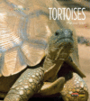 Tortoises (Living Wild )