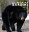 Black Bears ( Living Wild )