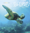 Sea Turtles ( Living Wild )