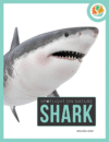 Shark ( Spotlight on Nature )