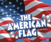 American Flag ( U.S. Symbols )