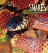 Snakes ( Living Wild )