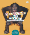 Orangutans Are Ticklish: Fun Facts from an Animal