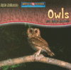 Owls Are Night Animals ( Night Animals )