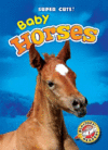 Baby Horses ( Blastoff Readers: Super Cute! )
