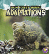 Rain Forest Animal Adaptations