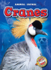 Cranes ( Animal Safari )