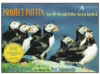 Project Puffin: How We Brought Puffins Back to Egg