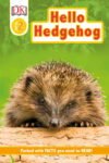 Hello Hedgehog