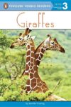Giraffes ( Penguin Young Readers Level 3 )