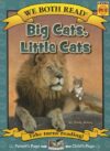 Big Cats Little Cats( We Both Read - Level Pk-K )