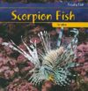 Scorpion Fish (Freaky Fish)