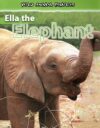 Ella the Elephant ( Wild Animal Families )