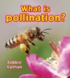 What Is Pollination? ( Big Science Ideas )