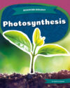 Photosynthesis (Discover Biology)