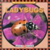 Ladybugs (Lets Read about Insects) (LB)