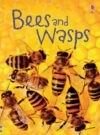 Bees and Wasps ( Beginner's Nature #15 )