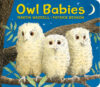 Owl Babies (Board)