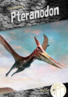 Pteranodon (Dinosaurs)