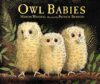 Owl Babies (HC)