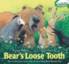 Bear's Loose Tooth