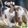 Cats (Our Pets)