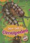 Centipedes (Creepy Crawlies)