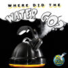 WHERE DID THE WATER GO?