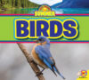 Birds (All about Summer)(LB)