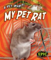 My Pet Rat (Pet What?!)